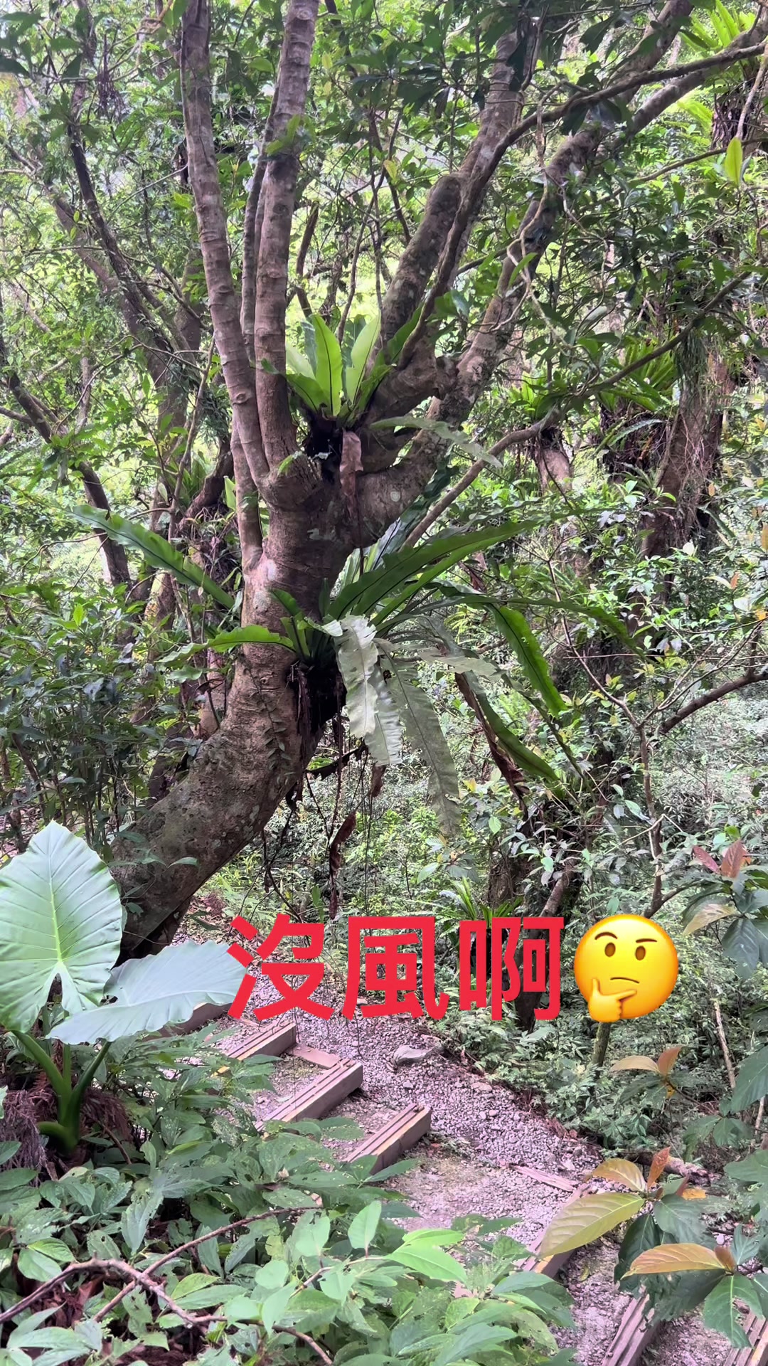 @十七