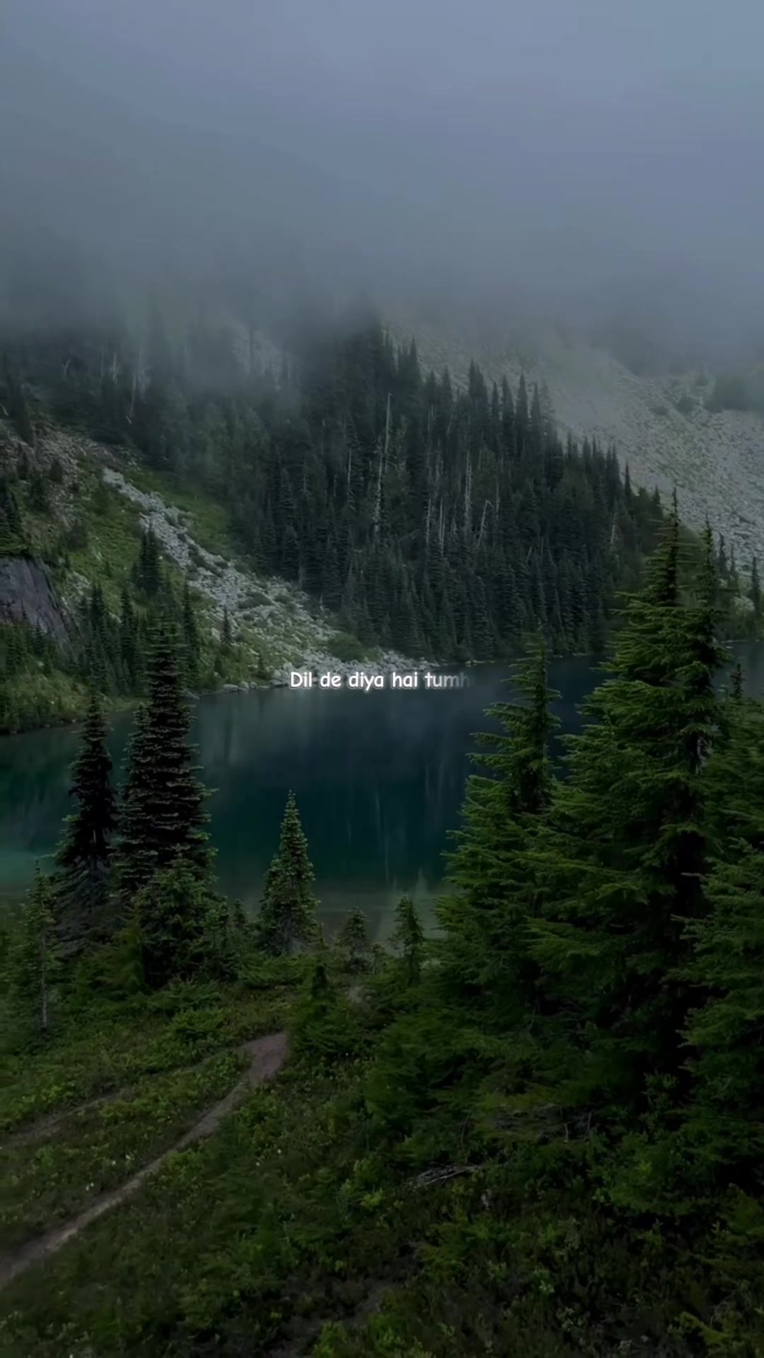 @𝒮𝒽𝒶𝓃𝒾𝑒𝓁𝒶ꫂ ၴႅၴ