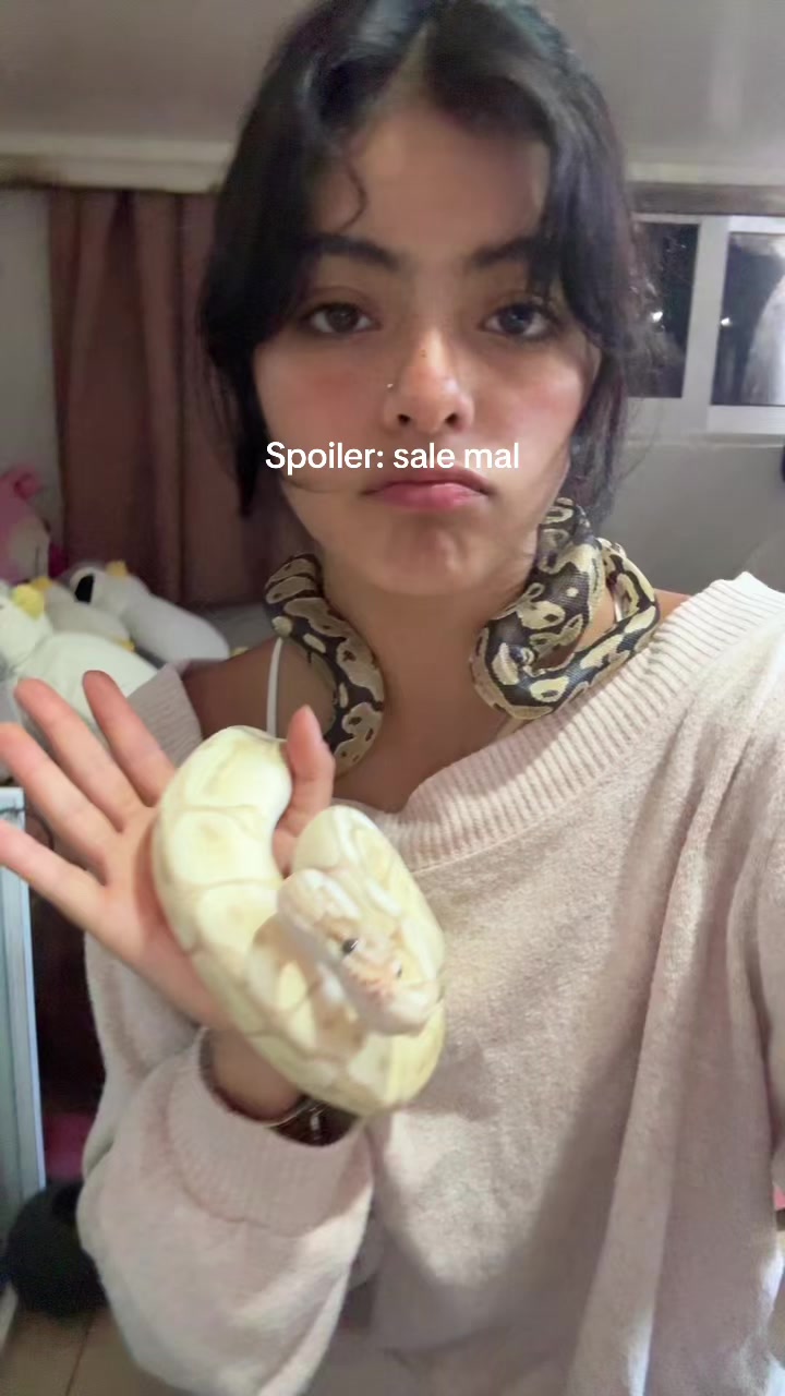 @karlii