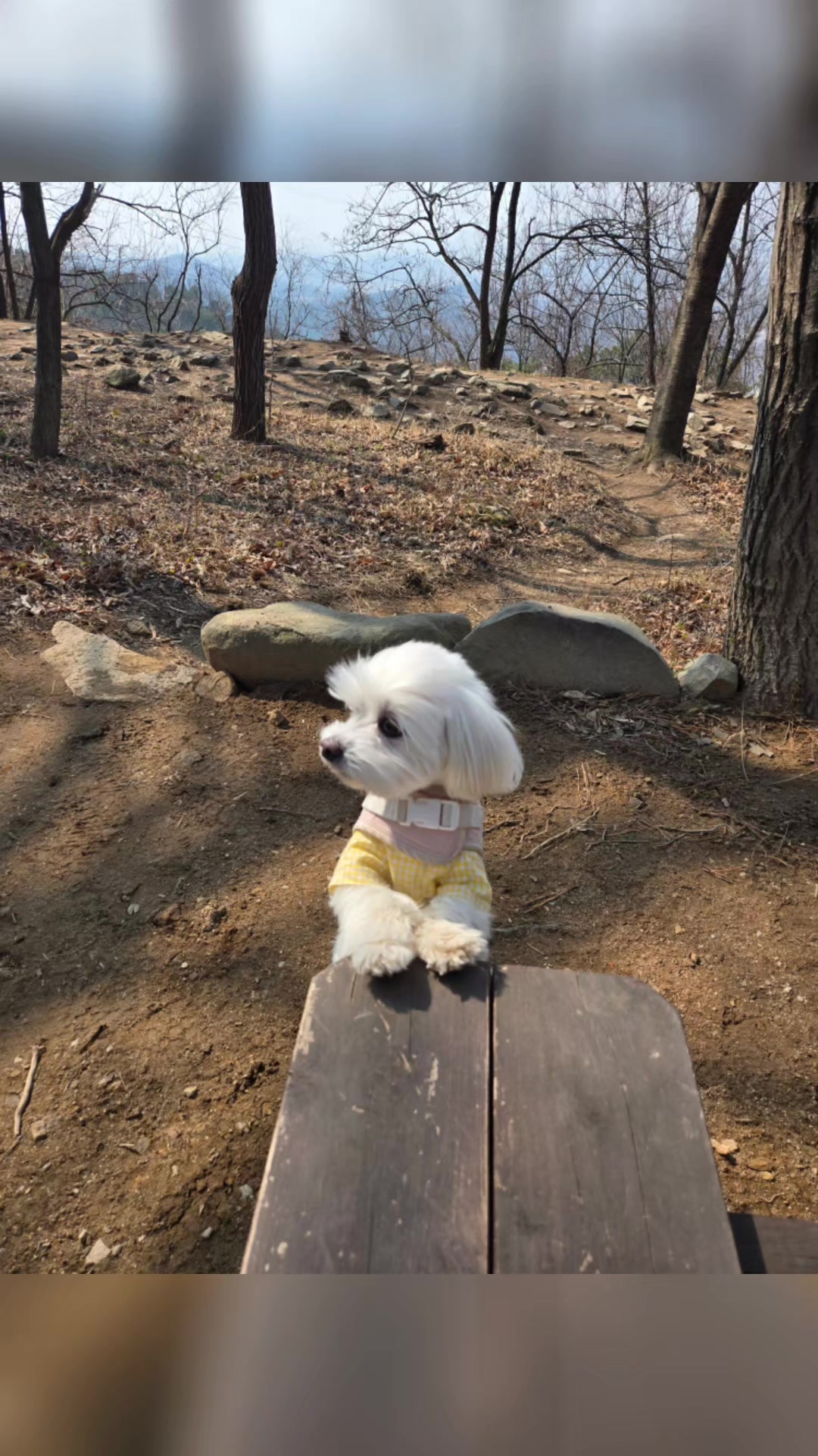 @율님