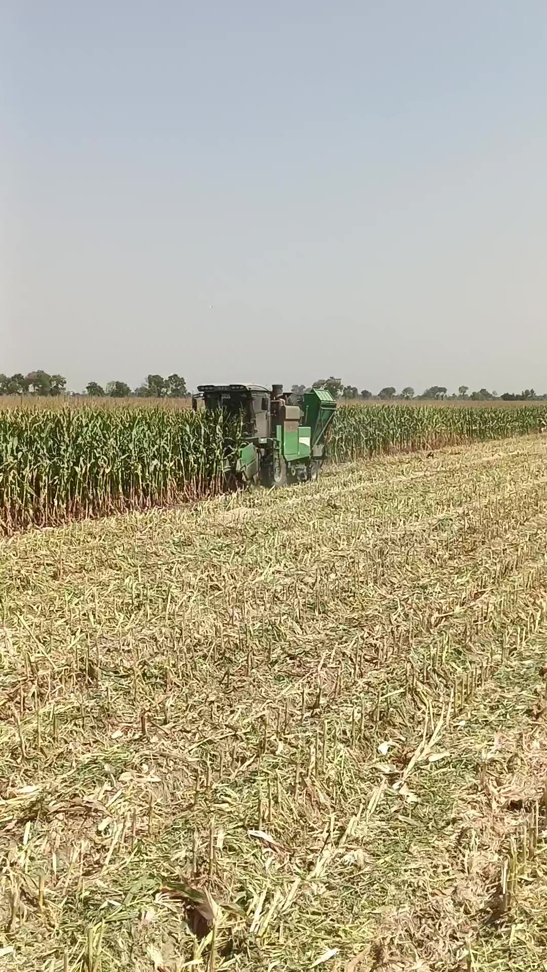 @💚 ذیشان ہنجرا 💚