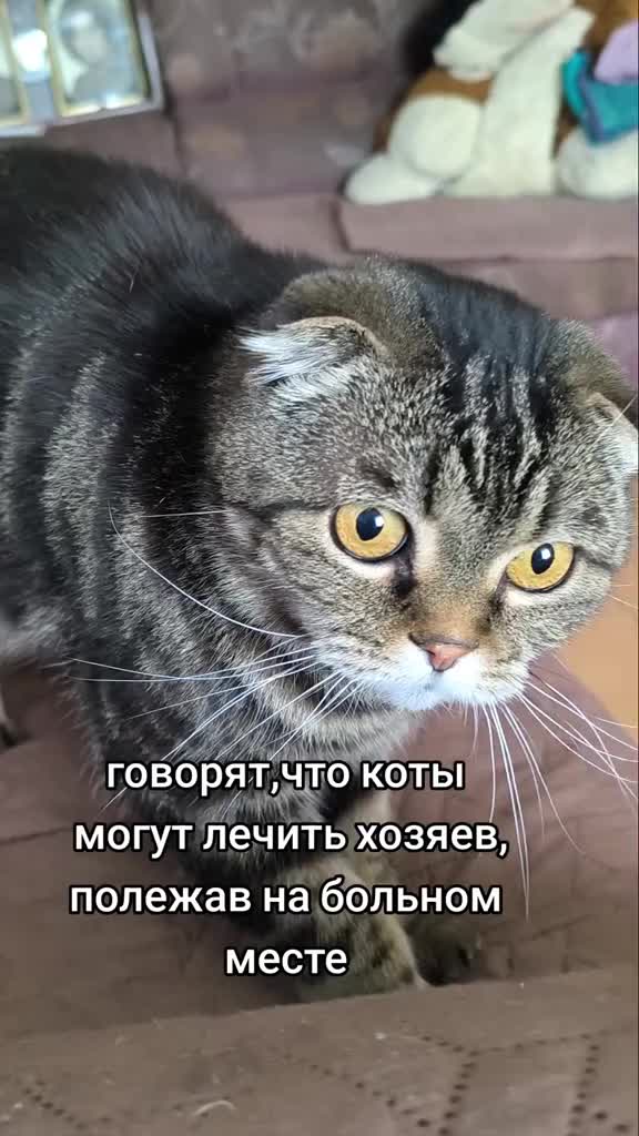 @оксана лыкова