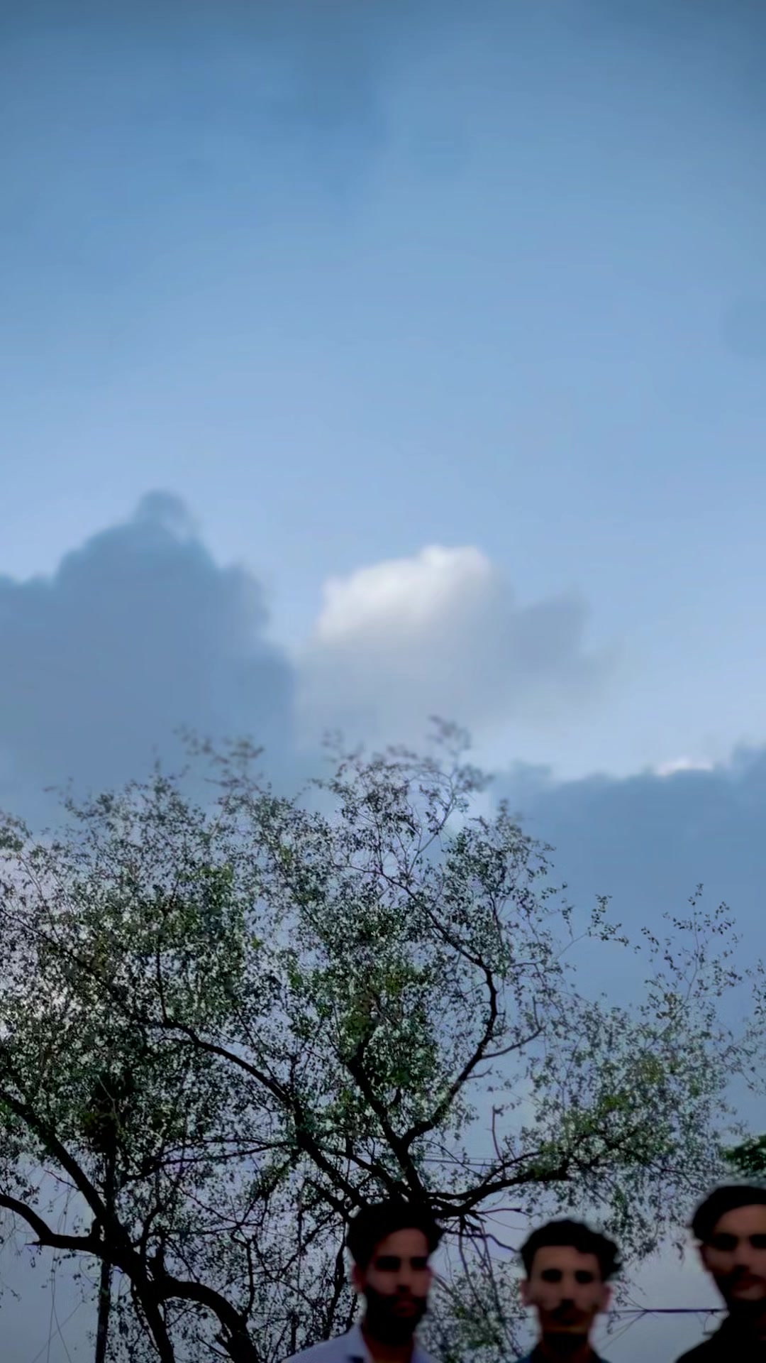 @𝐌𝐊🚩بنگش