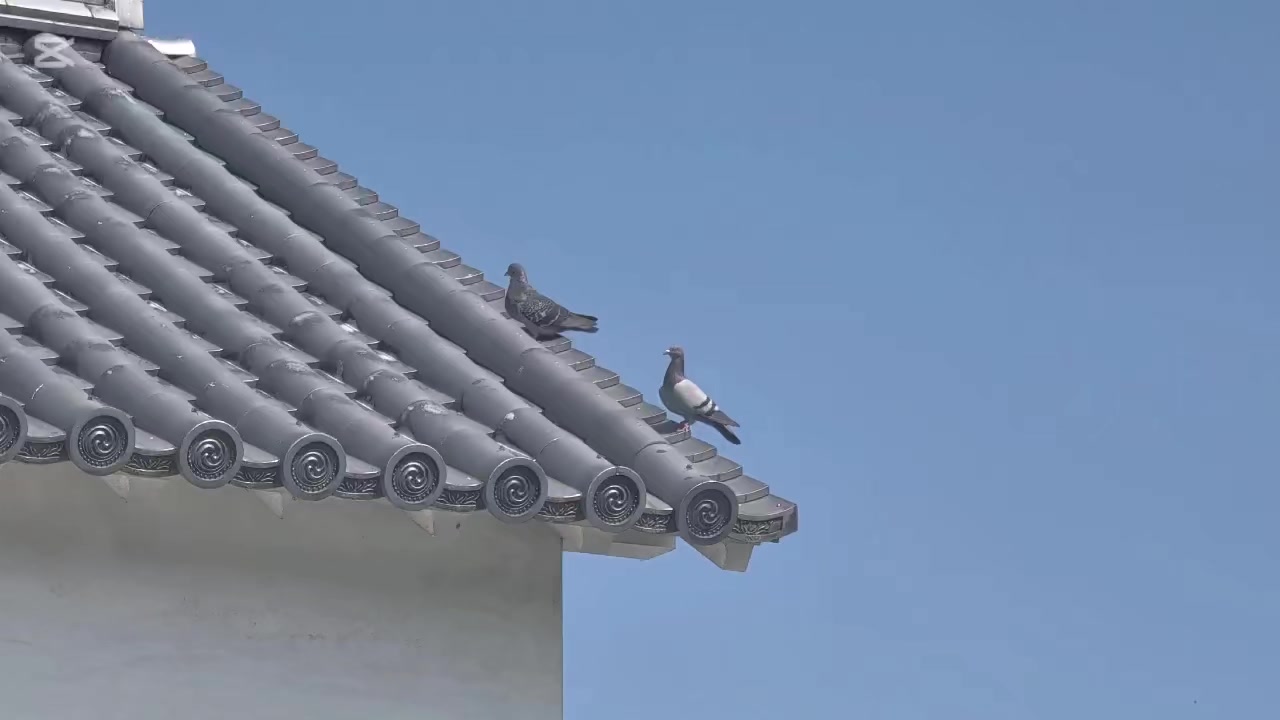 @自由人
