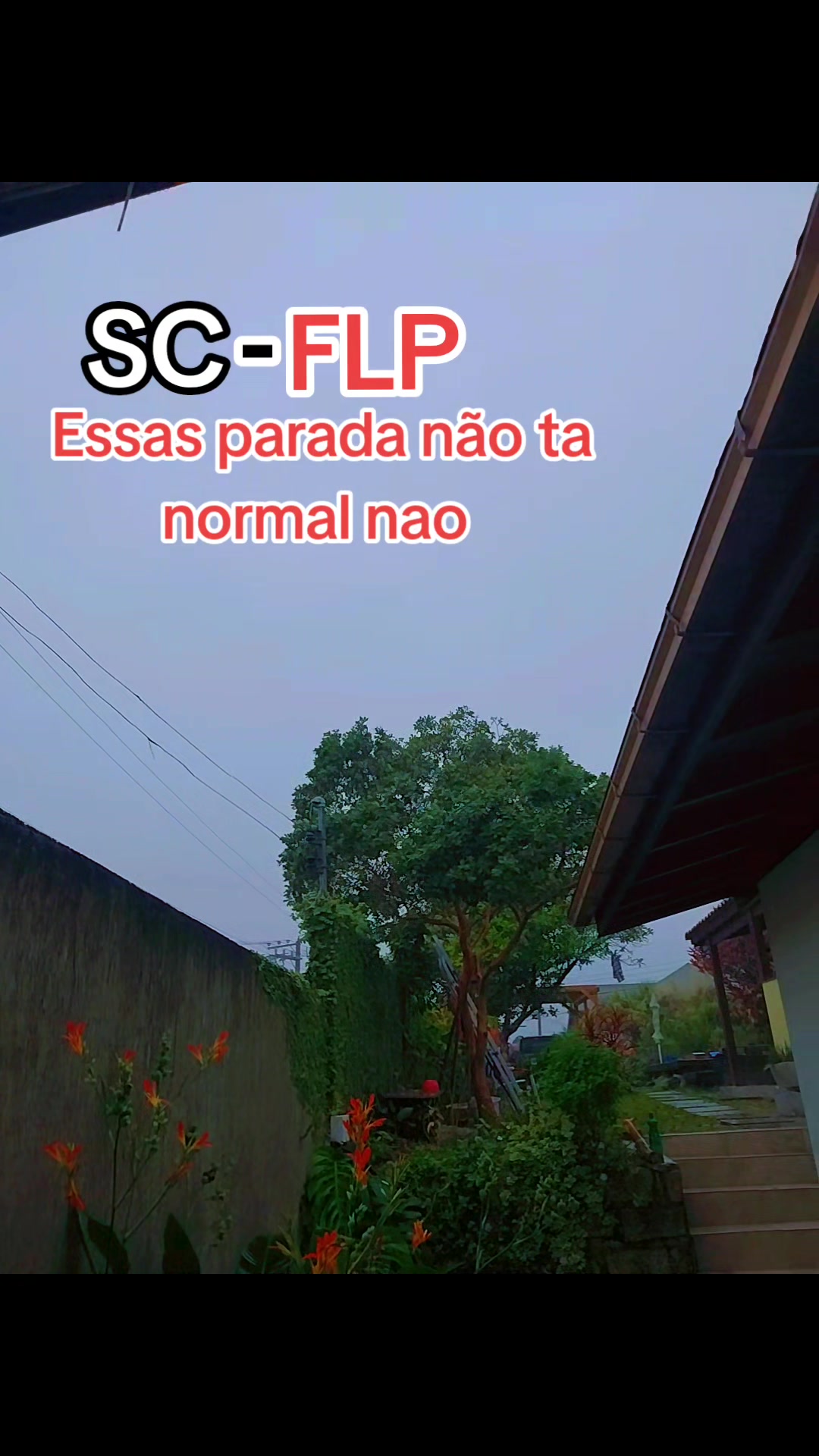 @Índia Lopis