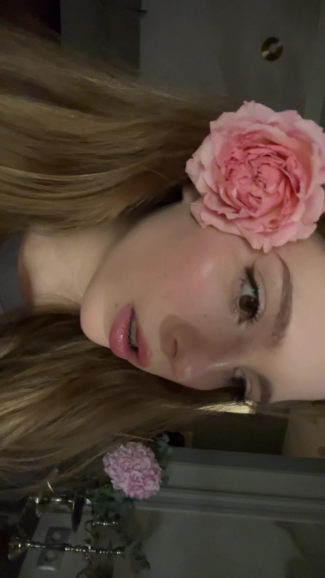 @дакорня