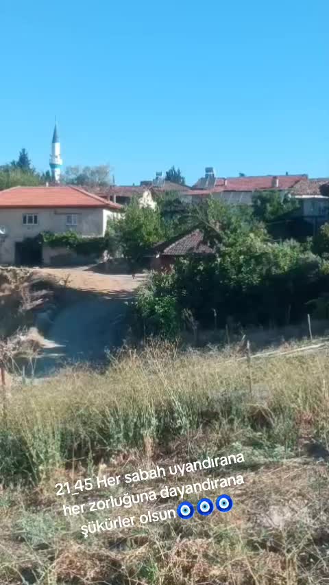 @Saliha Yavuz