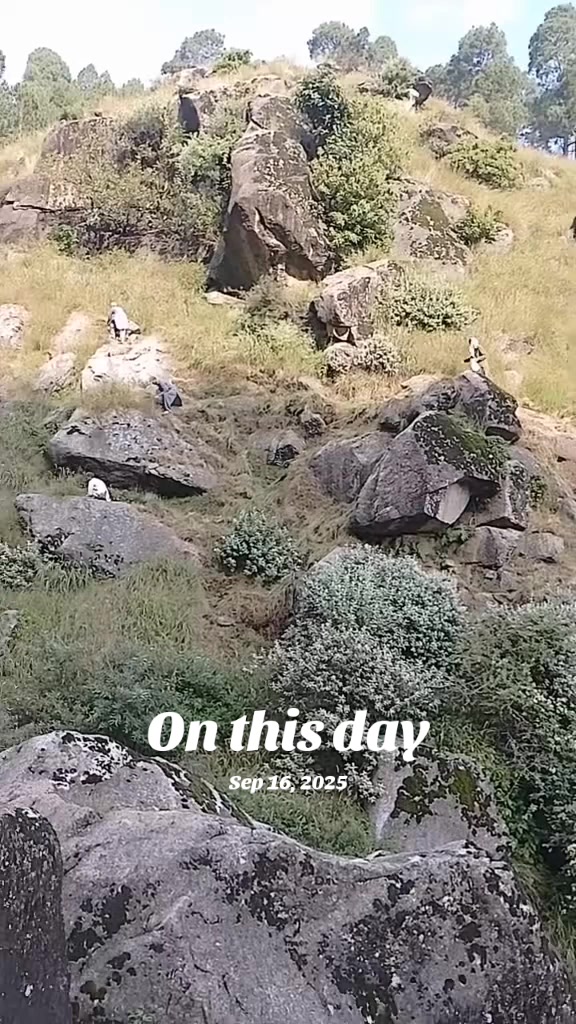 @بادشاہ