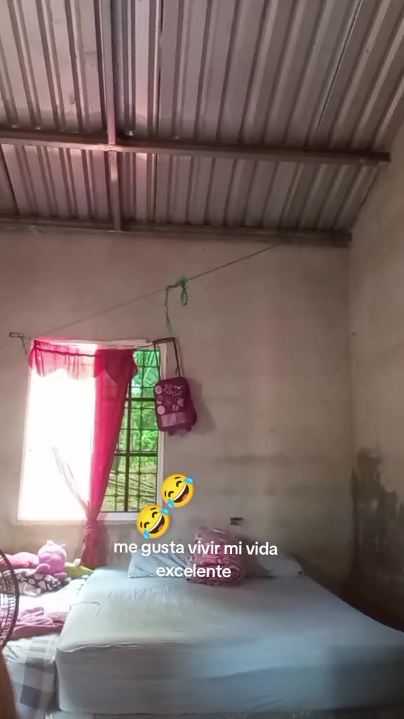 @Sofía Flores