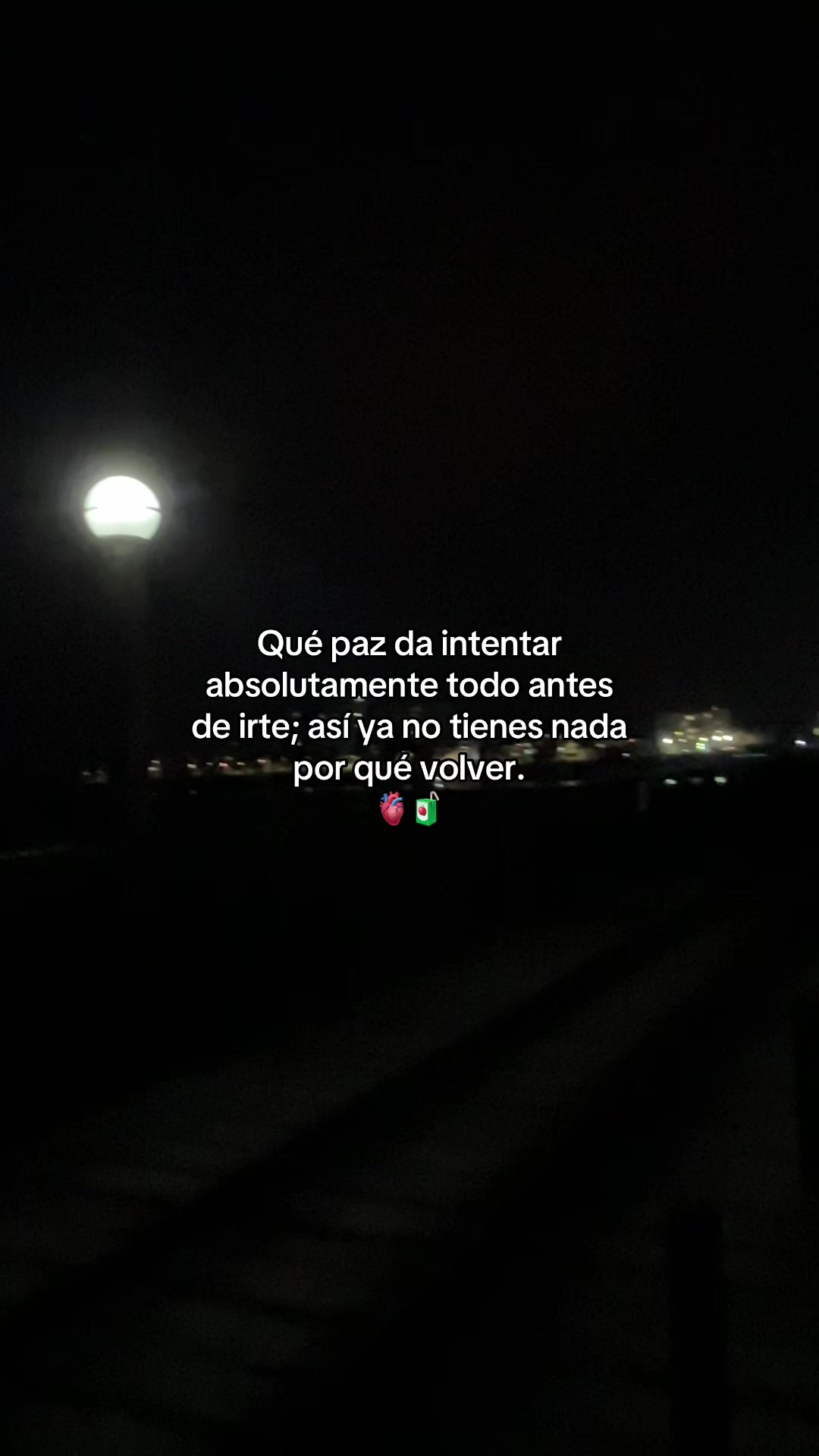 @Gatocix 🐱