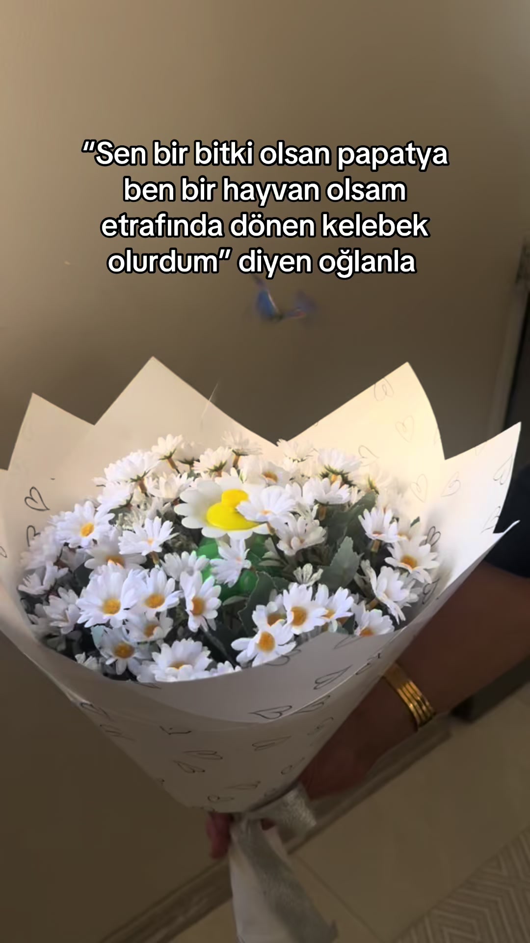 @Almir