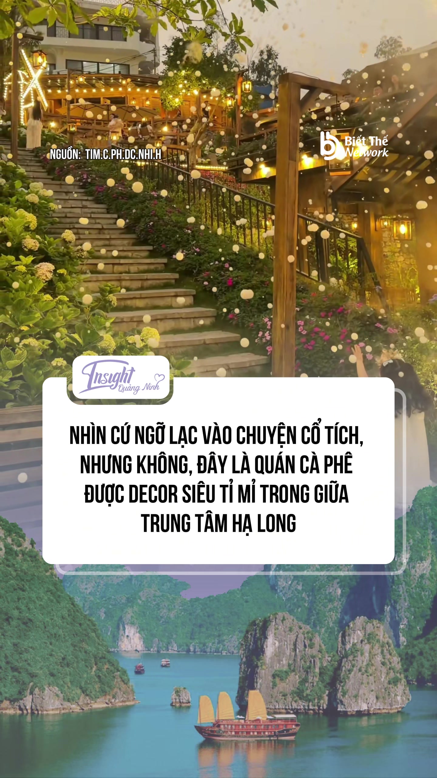 @Insight Quảng Ninh