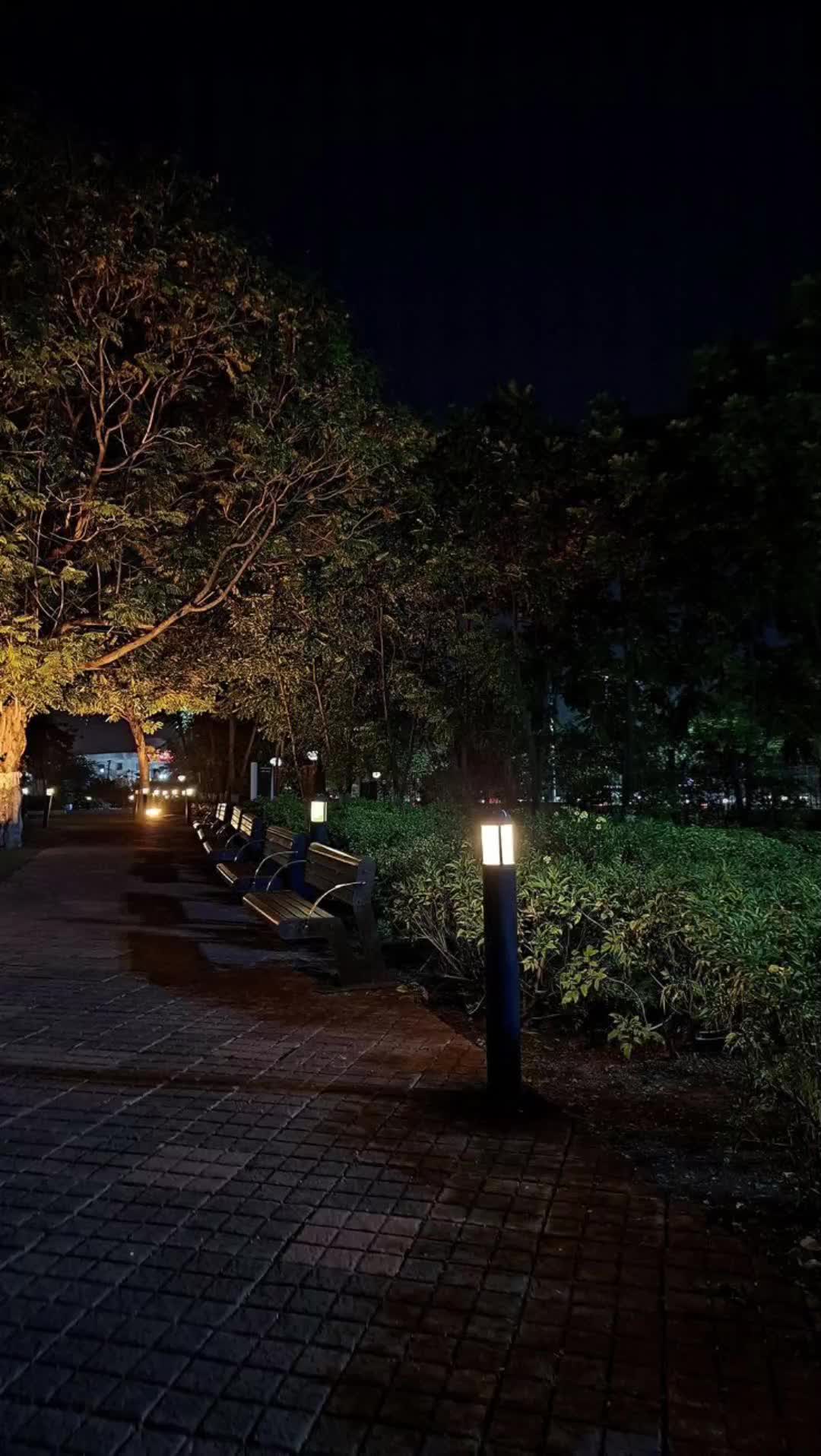 @๐ฏ๐