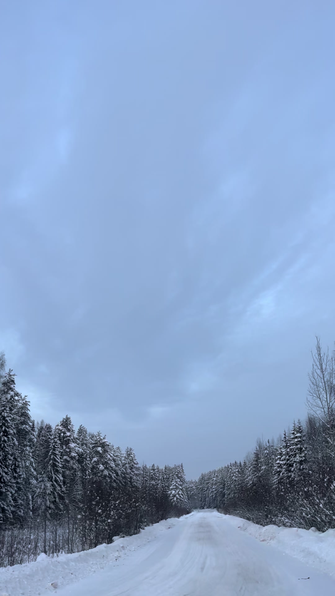 @Никита Колпаков