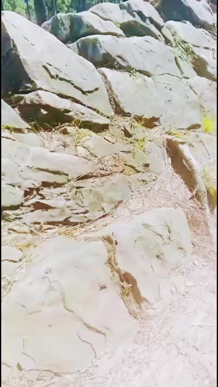 @ملنگ جان .302🇵🇰