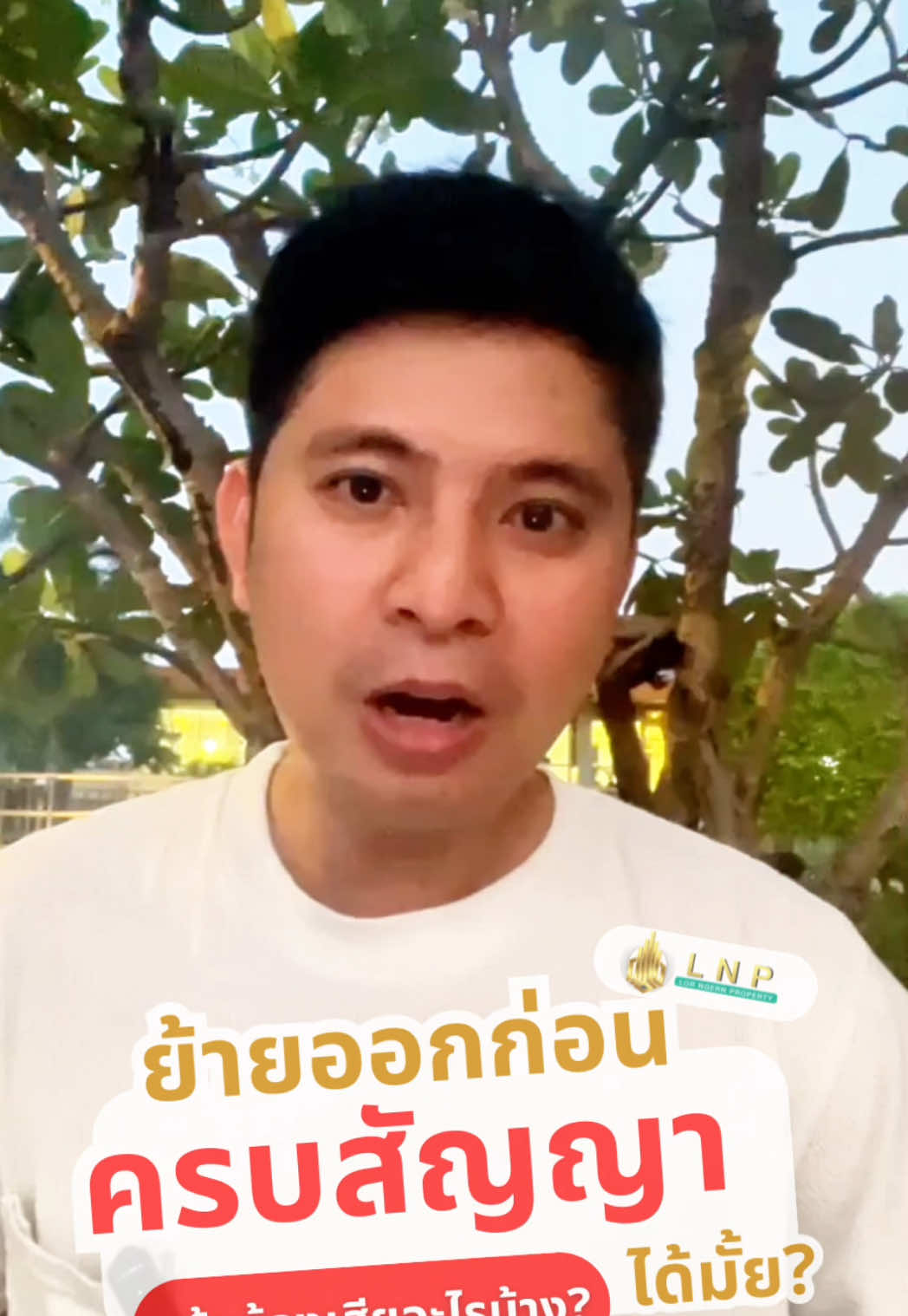 @lnpteam