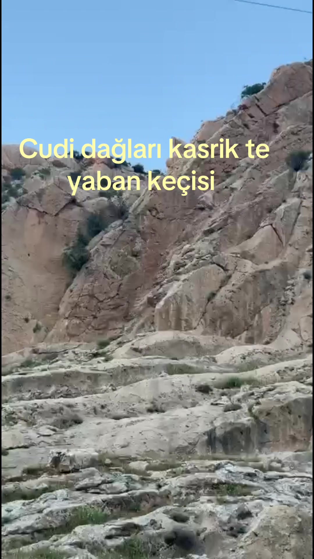 @Şervan Oran