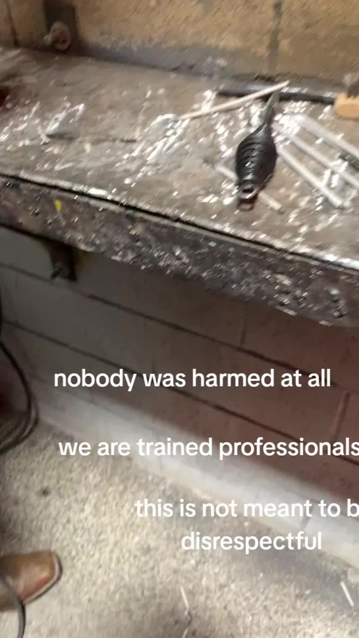 @Harley Sparks
