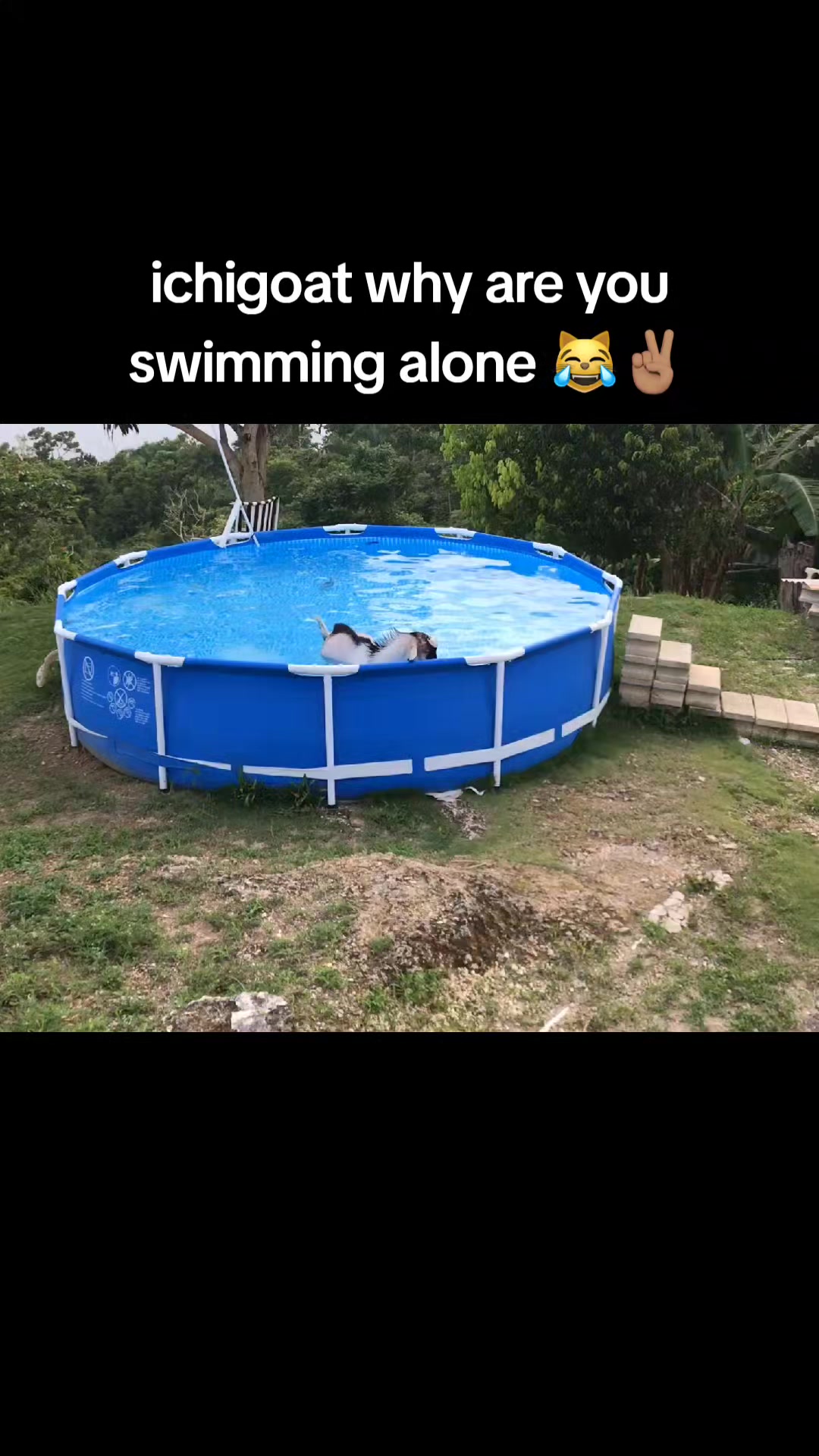 @fw.aizen00