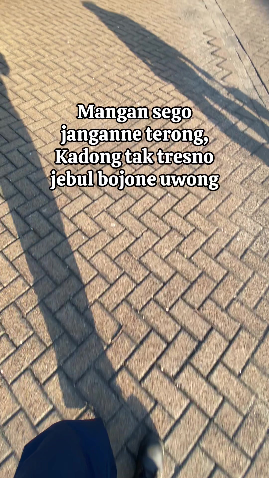 @Trafalgar D. Water Law
