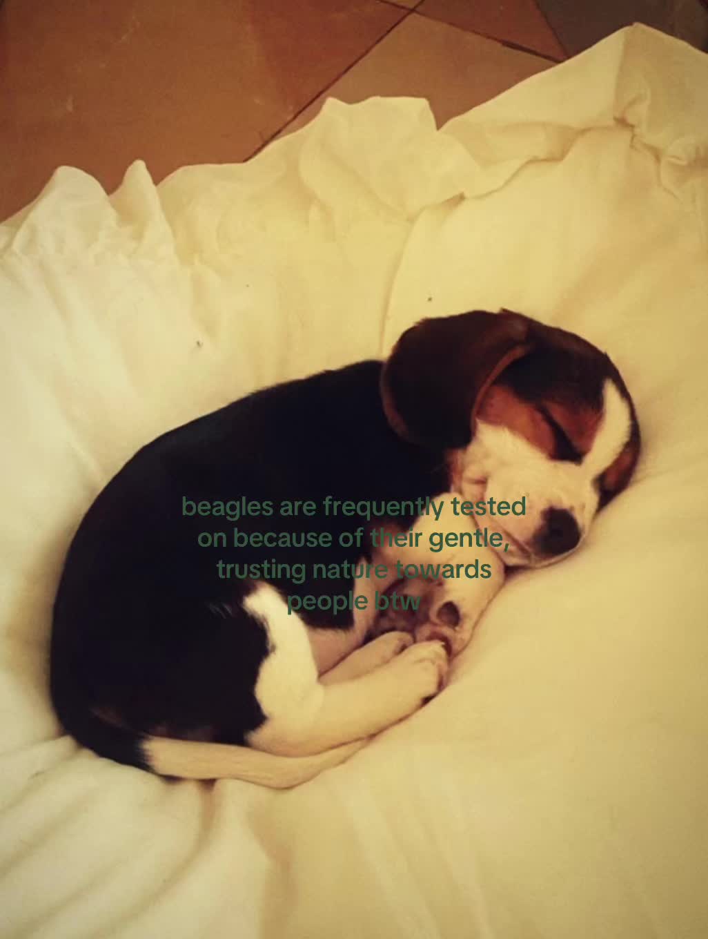 @oneearthh1