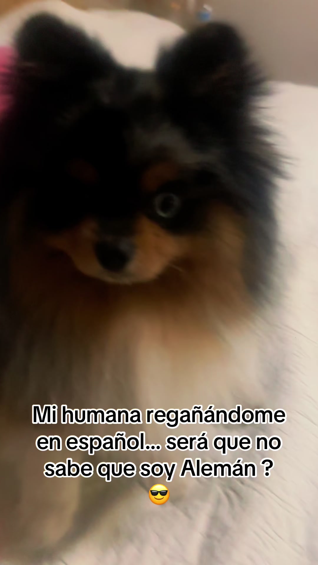 @Mune Bor