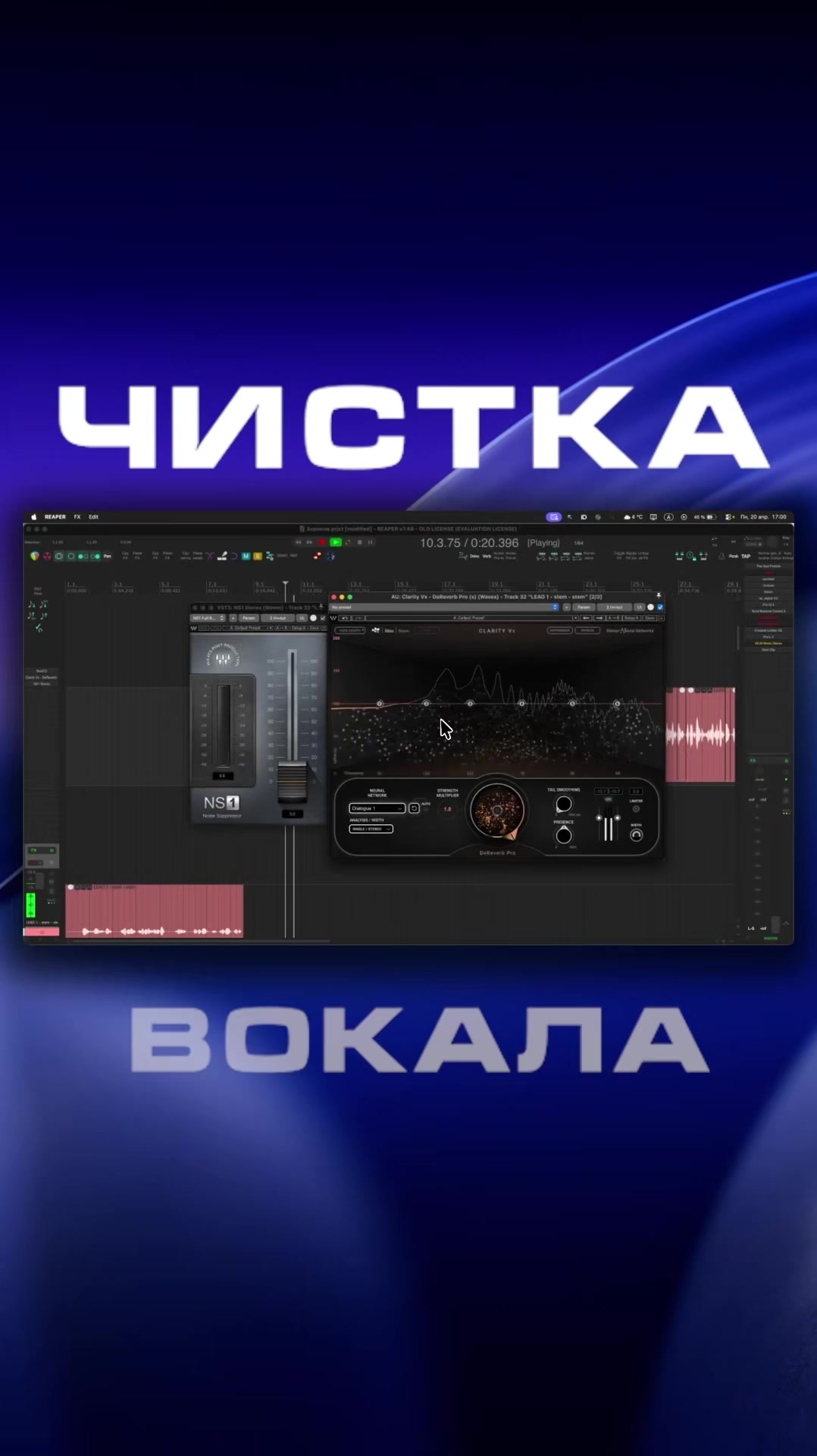 @тгк: lantanamixed