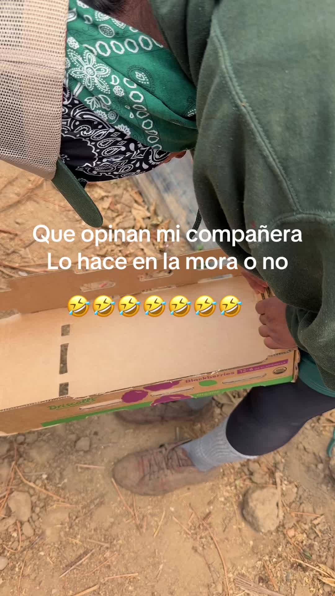 @luz Altamirano