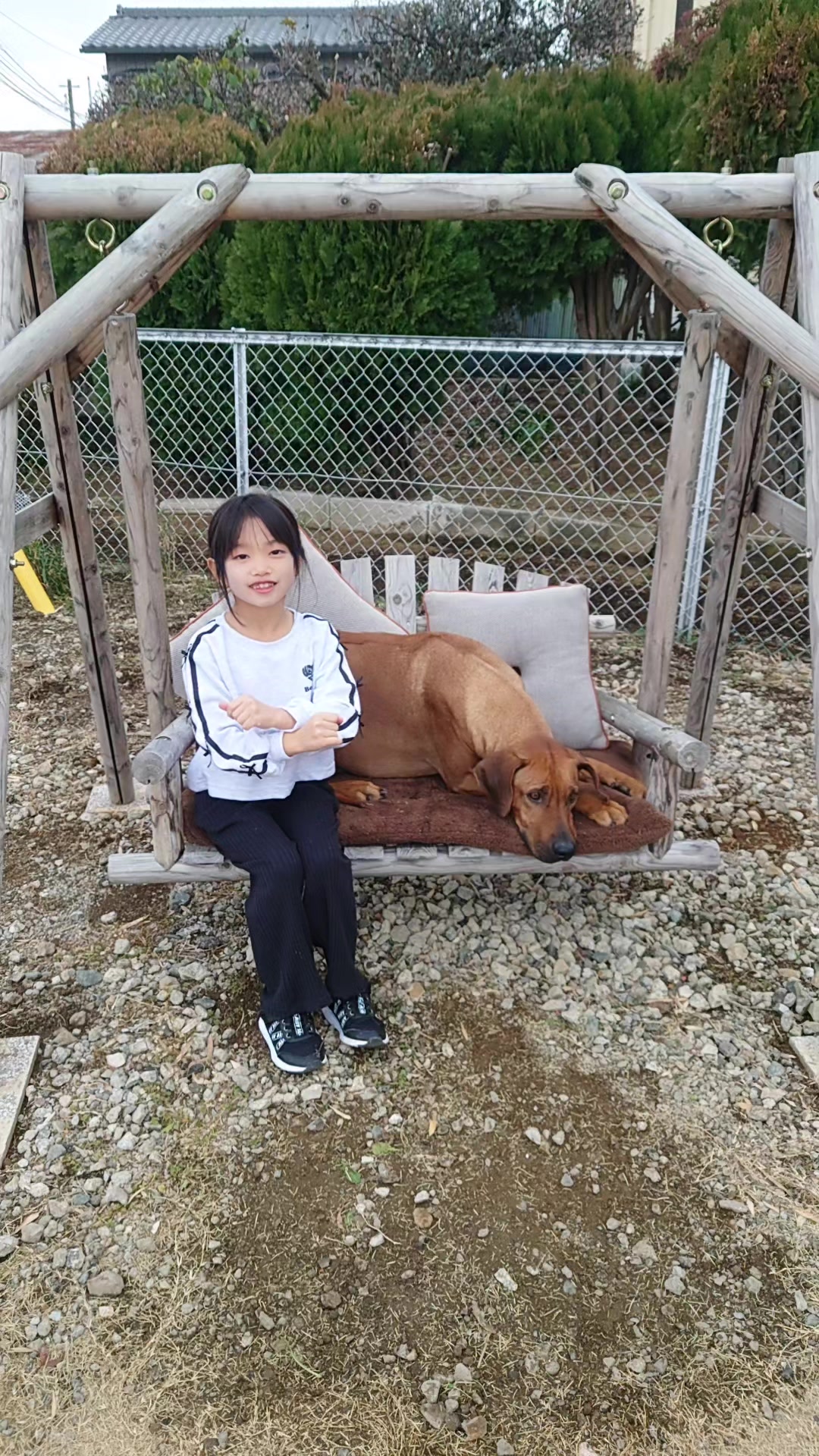 @Louis.Harry.rhodesianridgeback