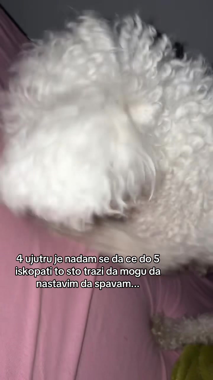 @LZ