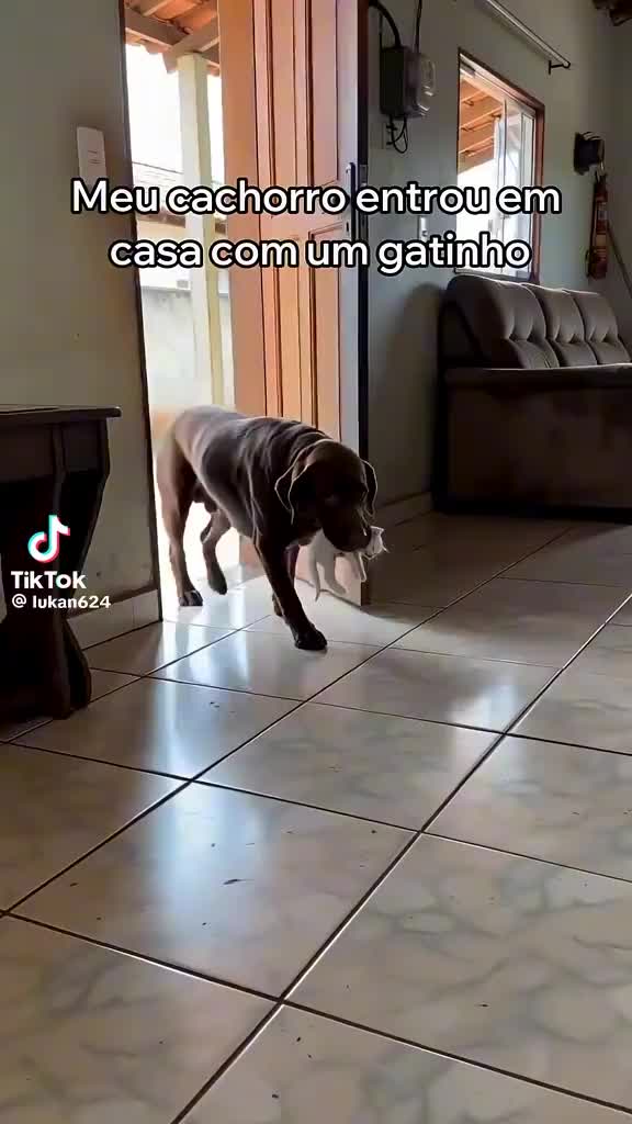 @blancapavon575
