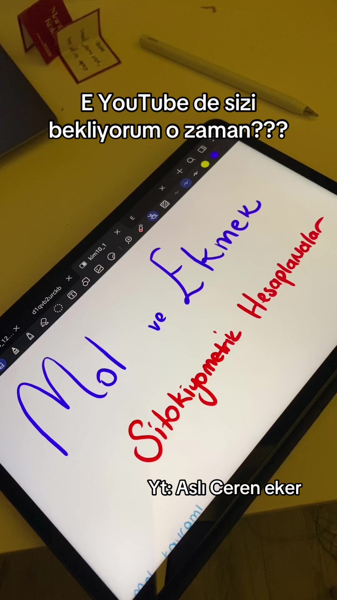 @Aslı Ceren Eker