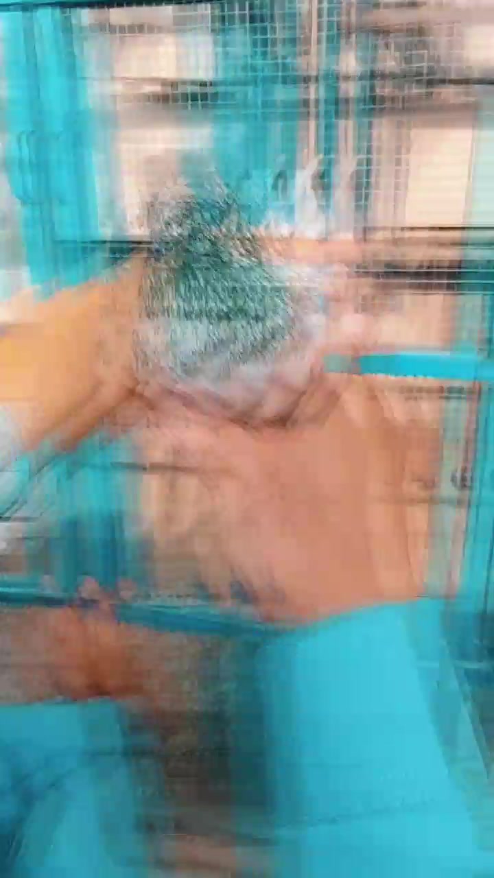@𝘼𝙣𝙖𝙨_𝘖𝘬𝘢𝘳𝘢_333🕊️✨