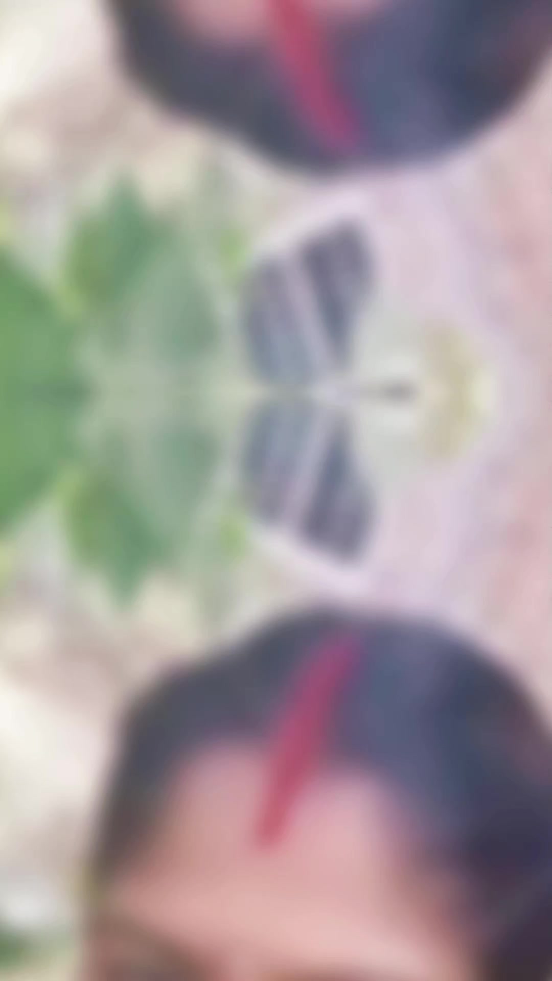 @rabbinaik4