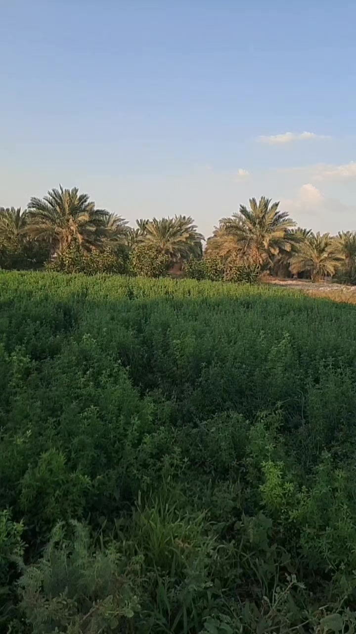 @Mohammad Hassan Alhayek