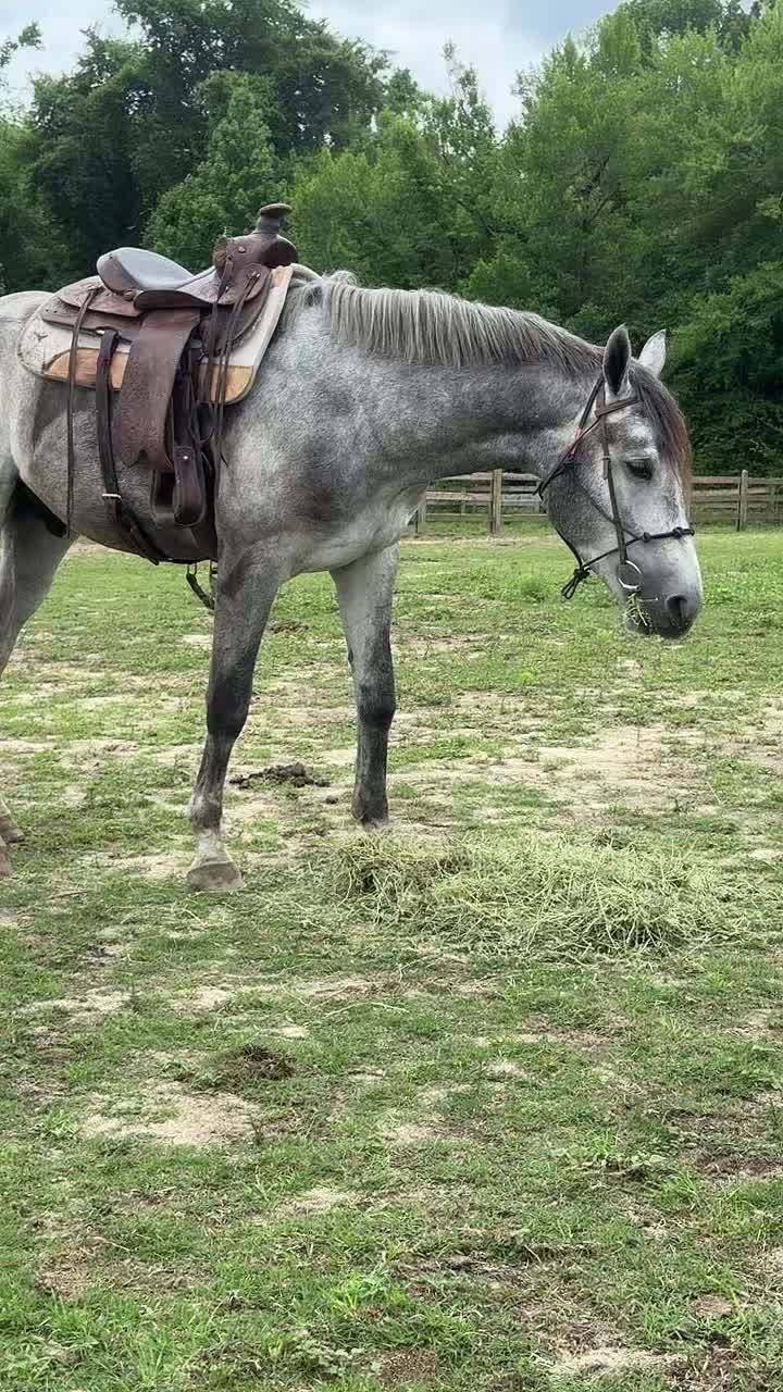 @Katie | The English Cowboy