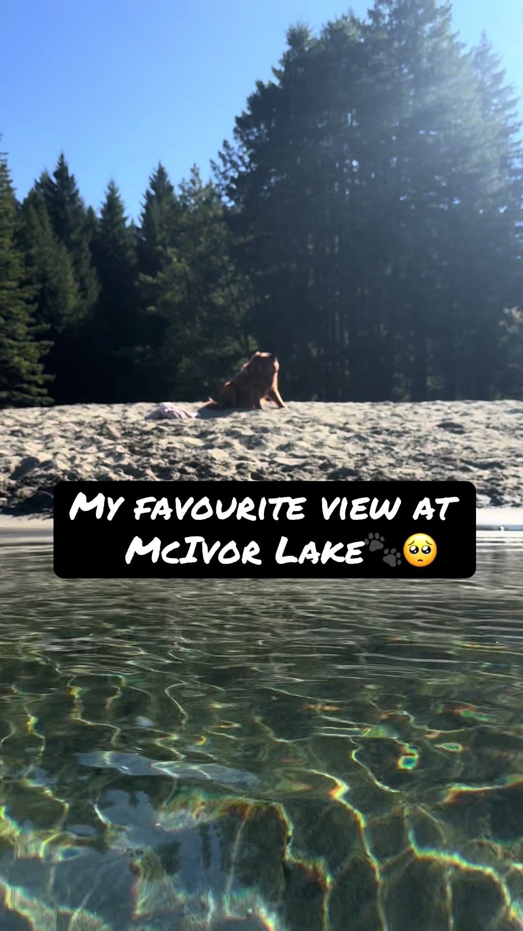 @📷C River Photography2010🇨🇦