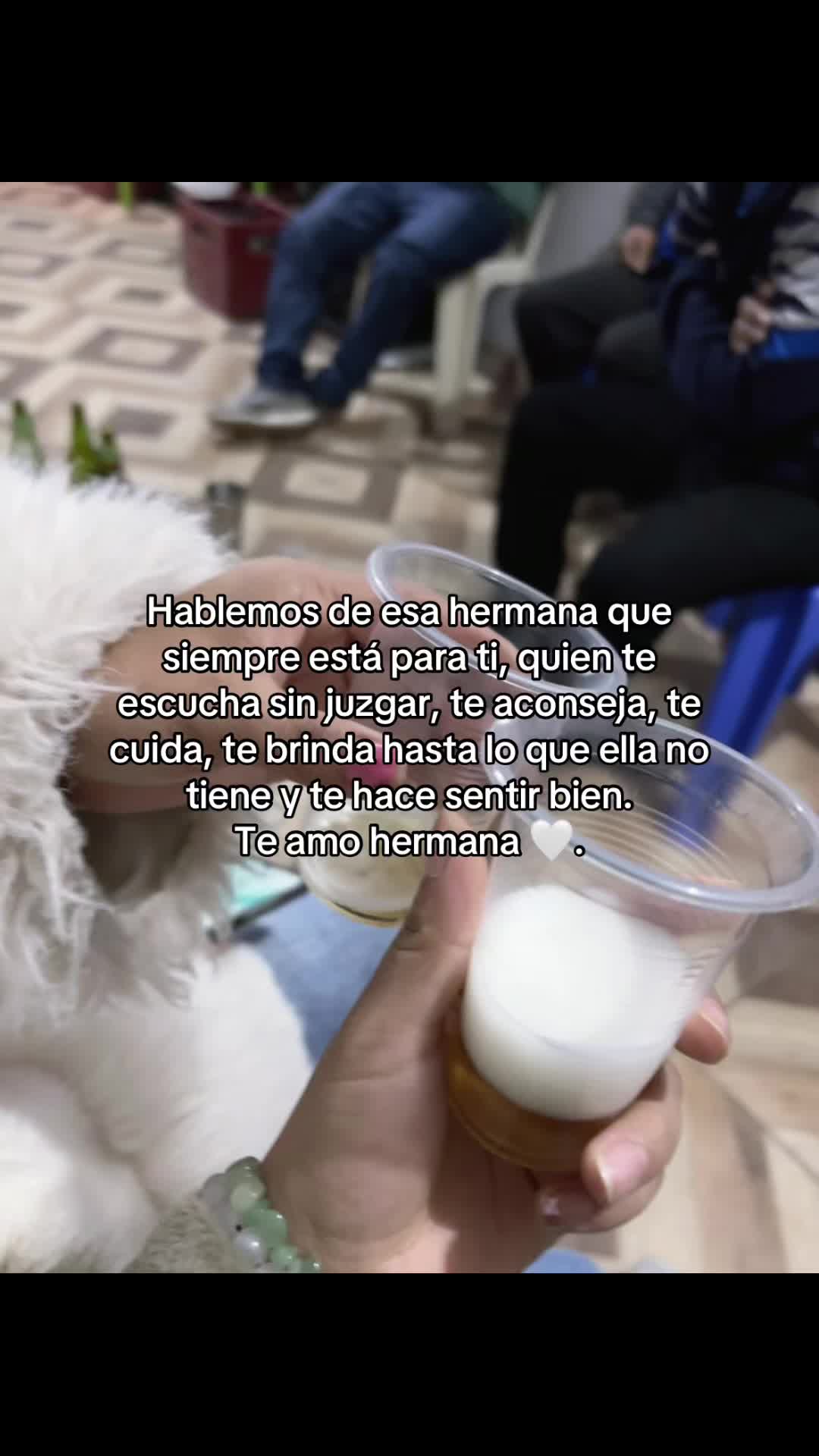 @🐾 suaves