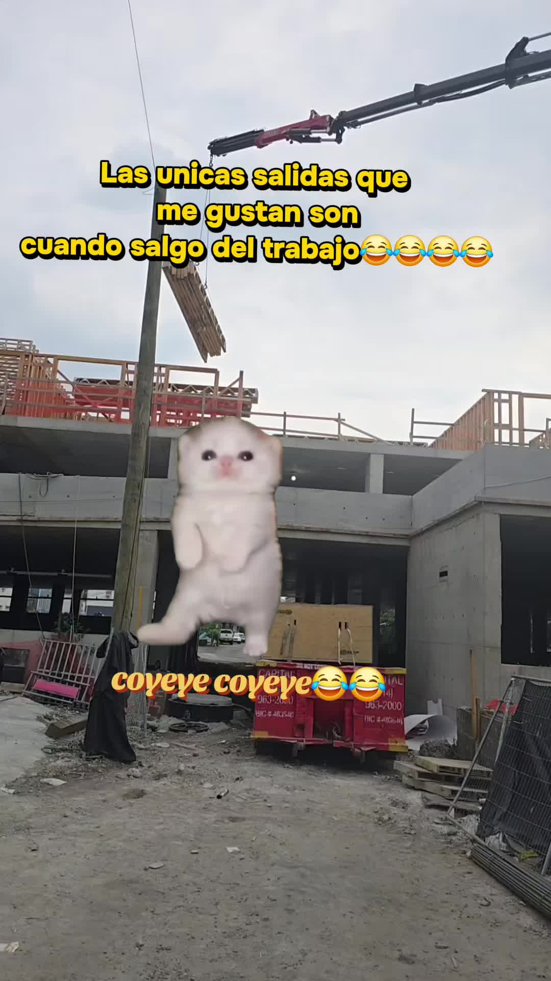 @the_pollo18