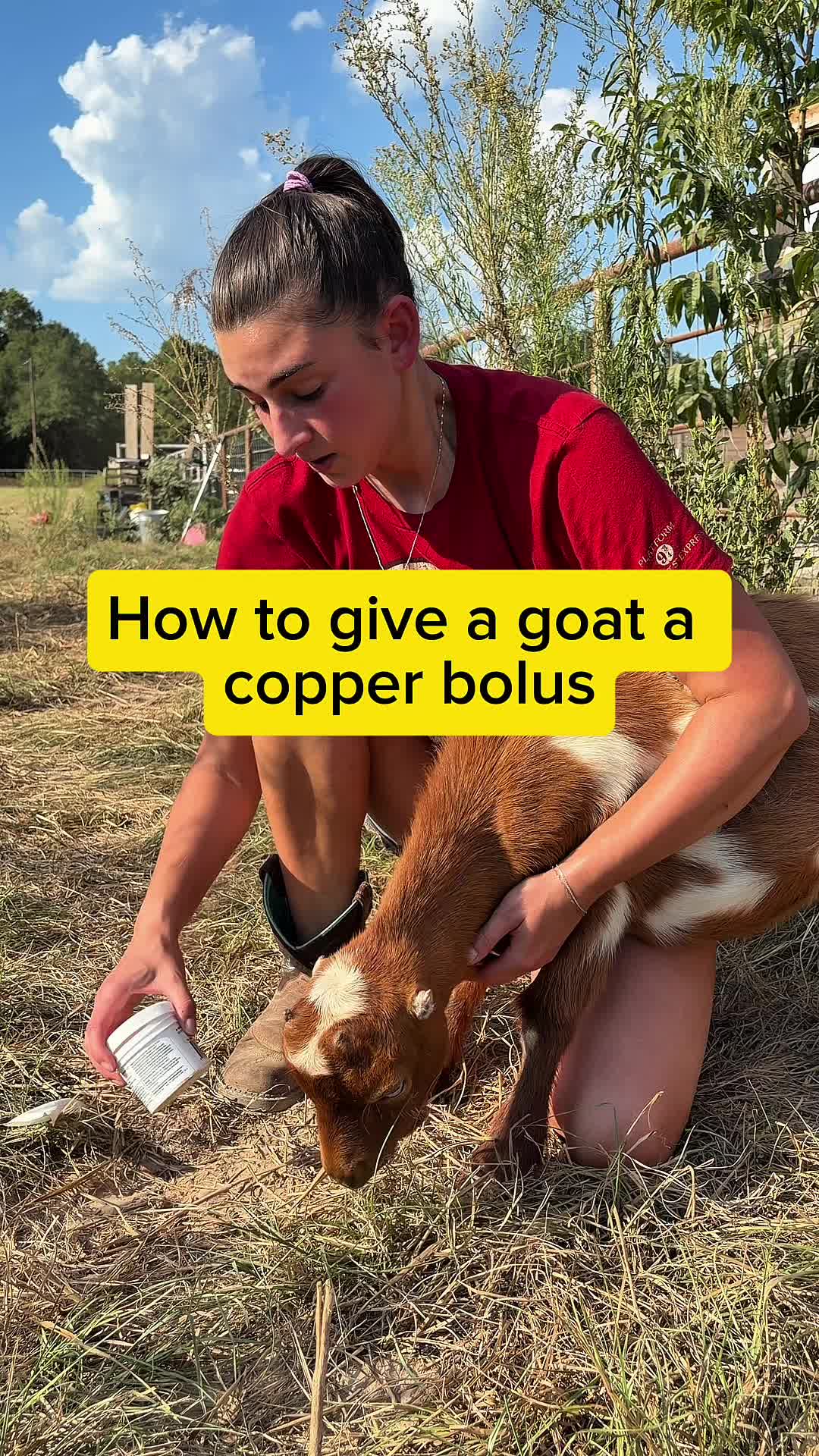 @Heart & Hoof Homestead