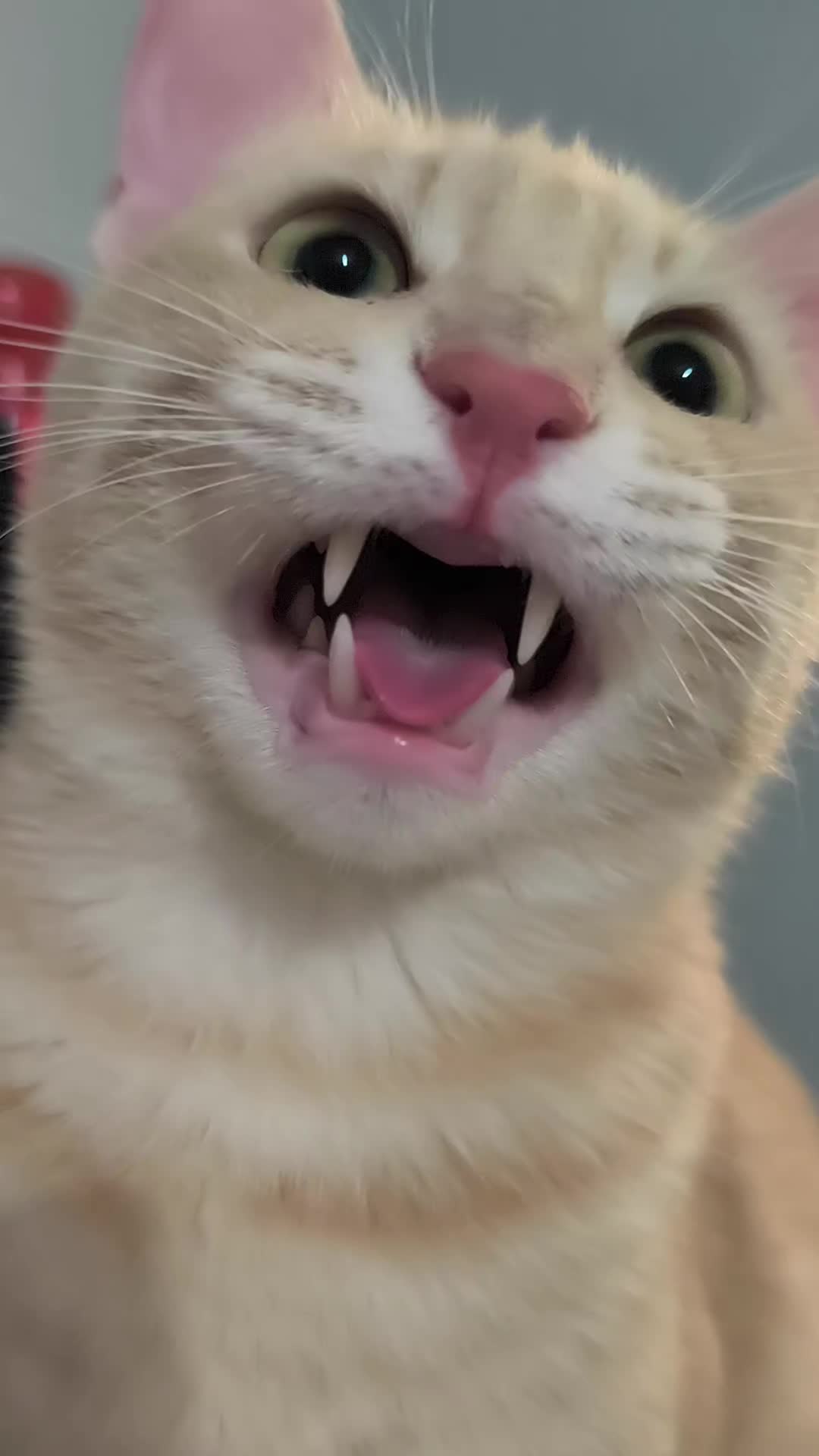 @Nina