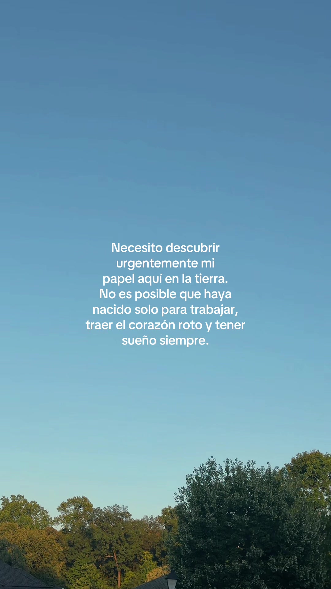@&ldquo;Voces del Eco&rdquo;