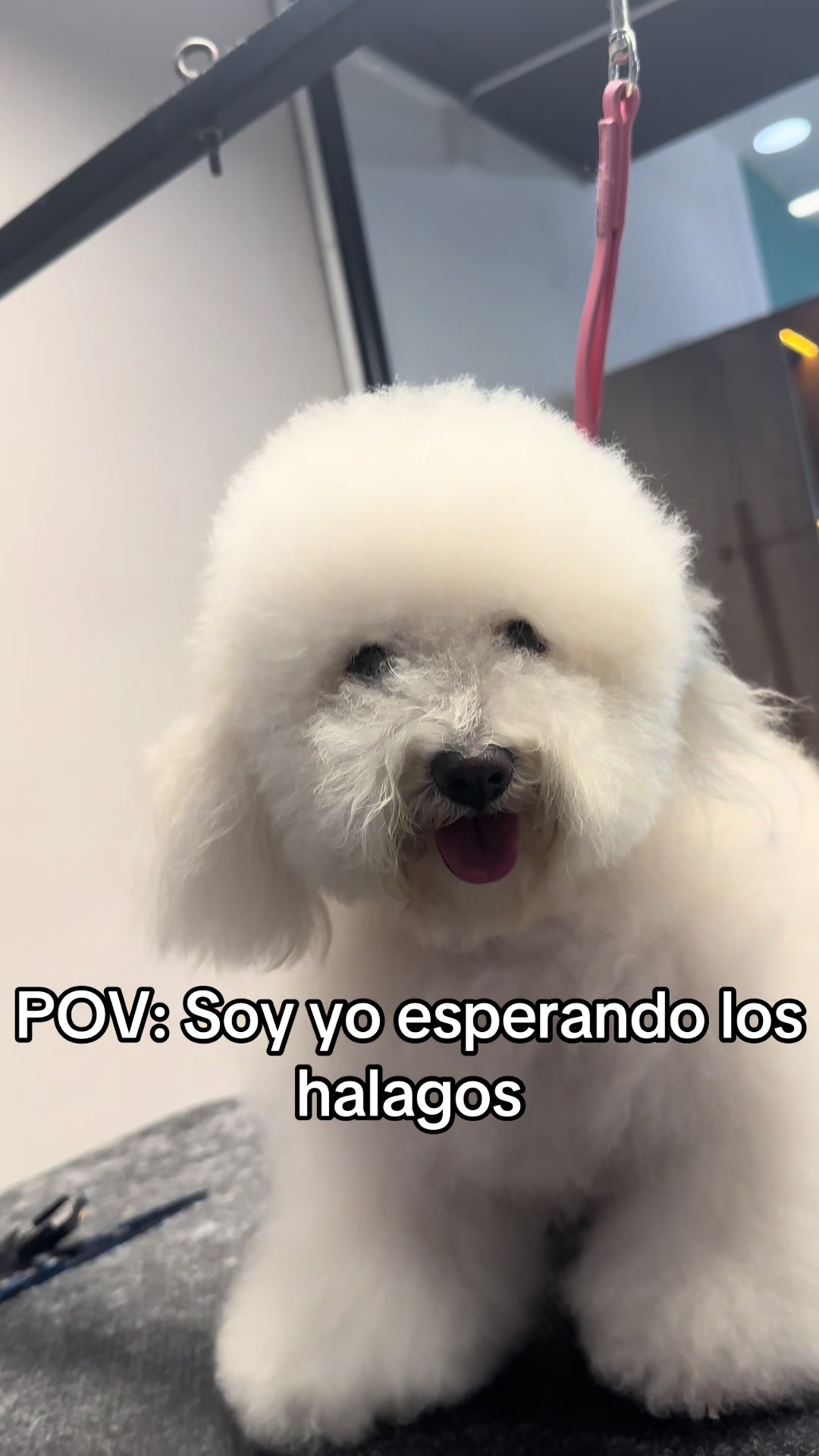 @dayangroomer