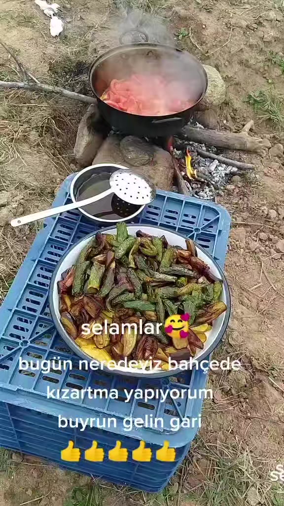 @Selma Atar