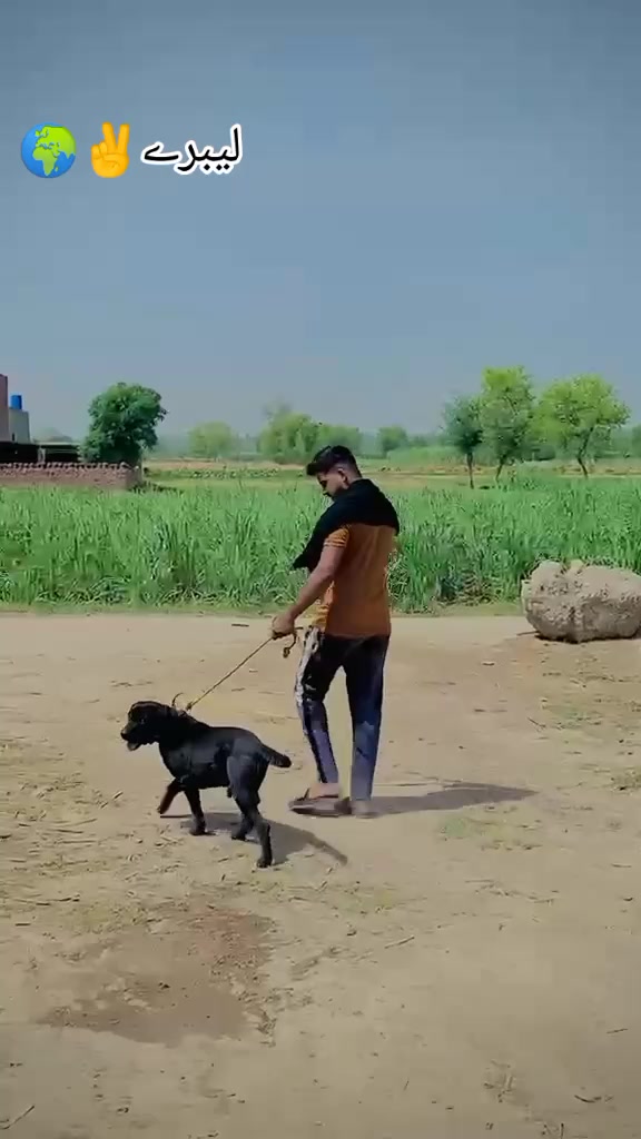@Asif Rajpoot