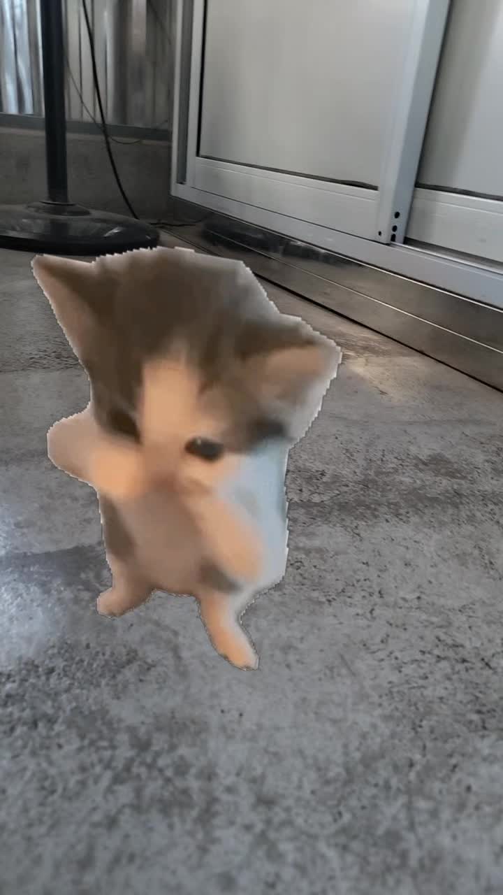 @Lɪɢʜᴛᴛ