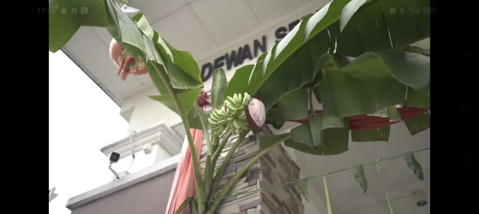 @tinisumishop