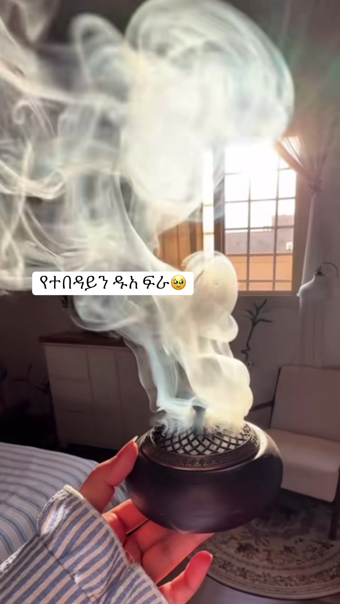 @Lij Zd๐ง๐ป๐ฟ