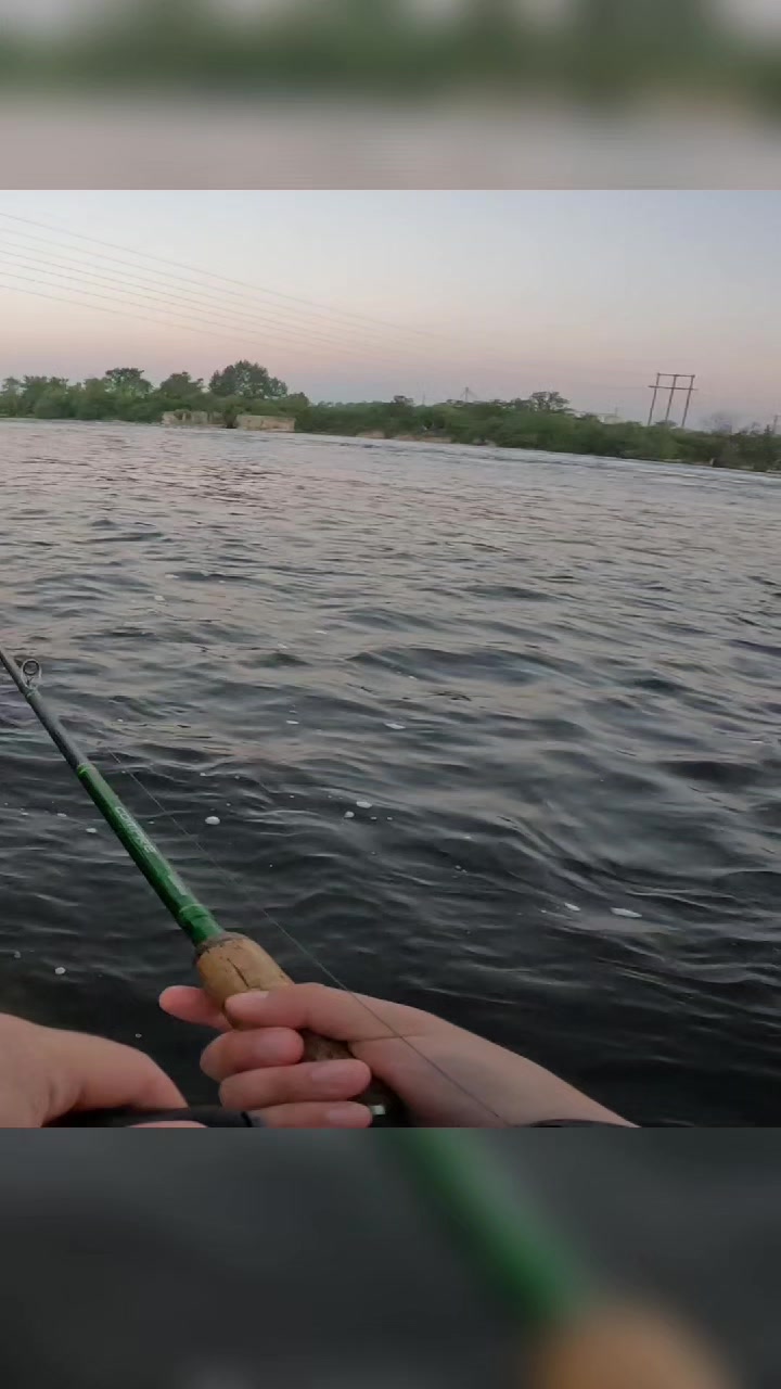 @FishingParadise