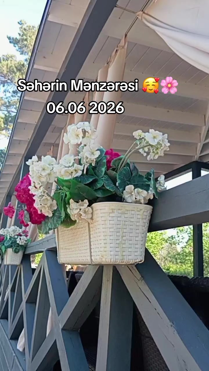 @♡𝙈𝙞𝙣𝙣𝙤𝙨̧➷♡🌸